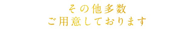 その他